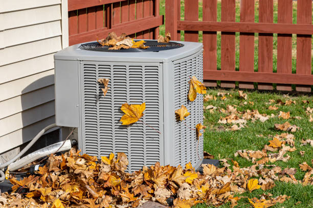 Best HVAC Tune-Up Services  in Big Lake, MN